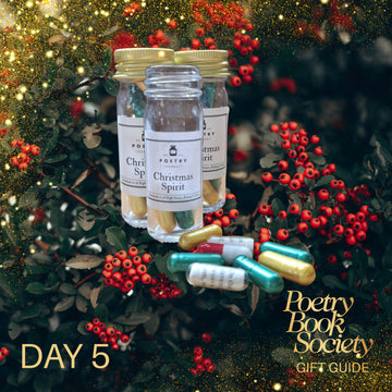 DAY 5: CHRISTMAS SPIRIT POETRY PILLS