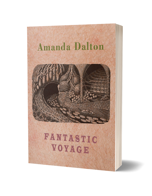 Fantastic Voyage by Amanda Dalton