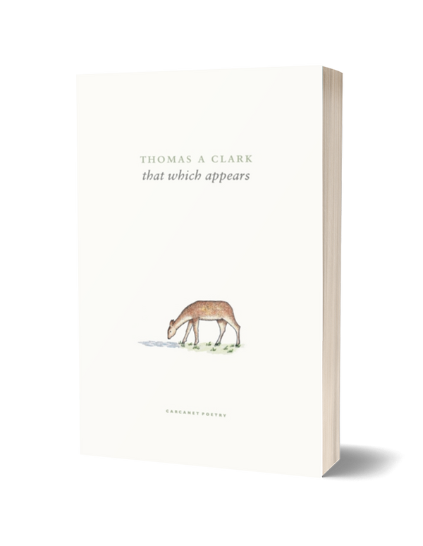 That Which Appears by Thomas A Clark