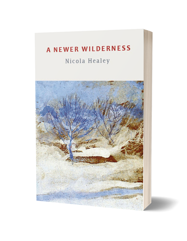 A Newer Wilderness by Nicola Healey