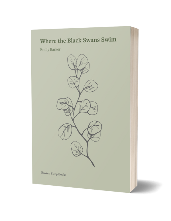 Where the Black Swans Swim by Emily Barker