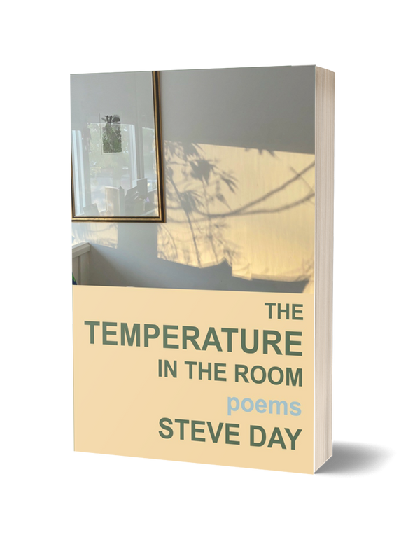 The Temperature In The Room by Steve Day PRE-ORDER