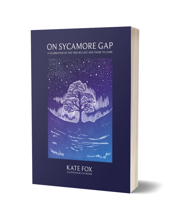 On Sycamore Gap by Kate Fox PRE-ORDER