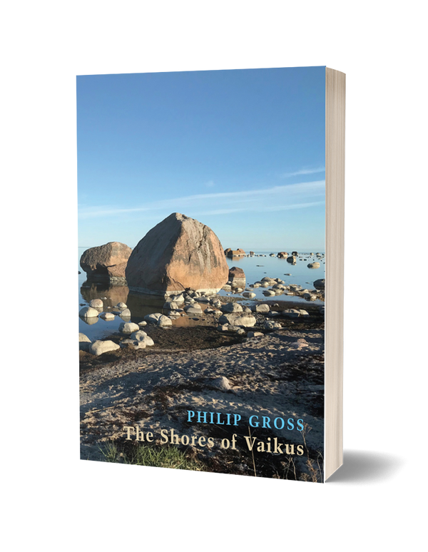 The Shores of Vaikus by Philip Gross PRE-ORDER