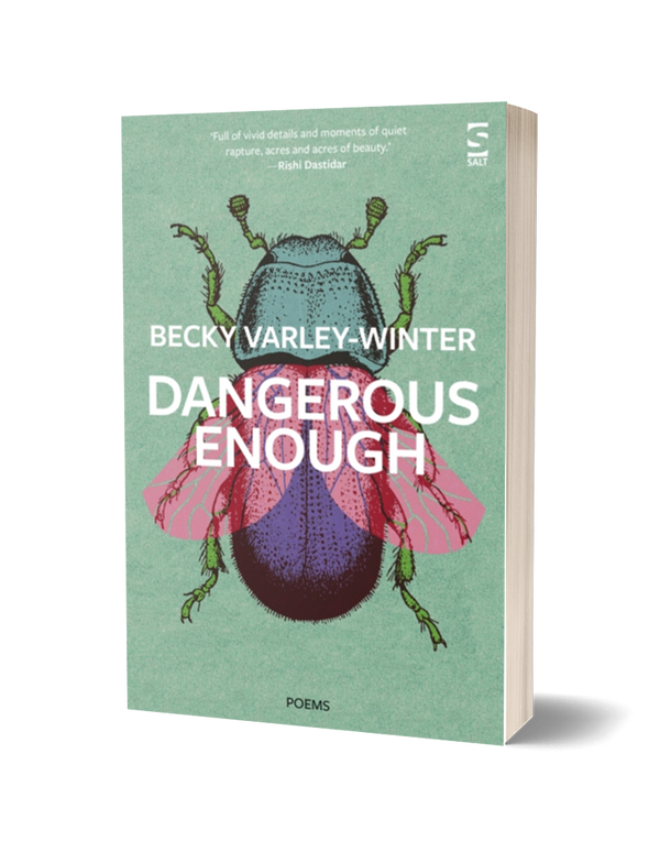 Dangerous Enough by Becky Varly-Winter