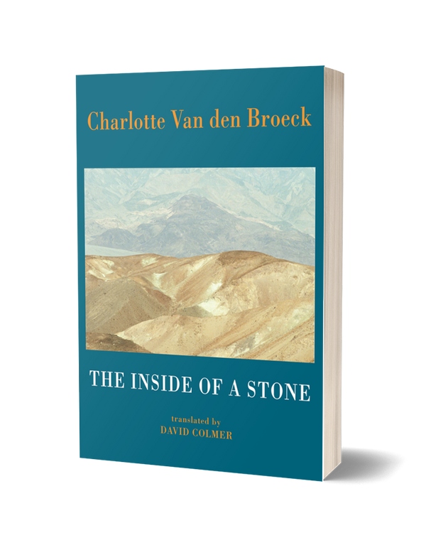 The Inside of a Stone by Charlotte Van den Broeck, translated by David Colmer