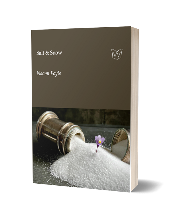 Salt & Snow by Naomi Foyle