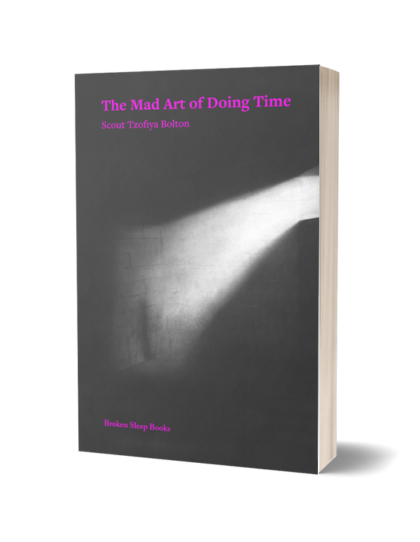 The Mad Art of Doing Time by Scout Tzofiya Bolton