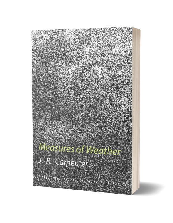 Measures of Weather by JR Carpenter