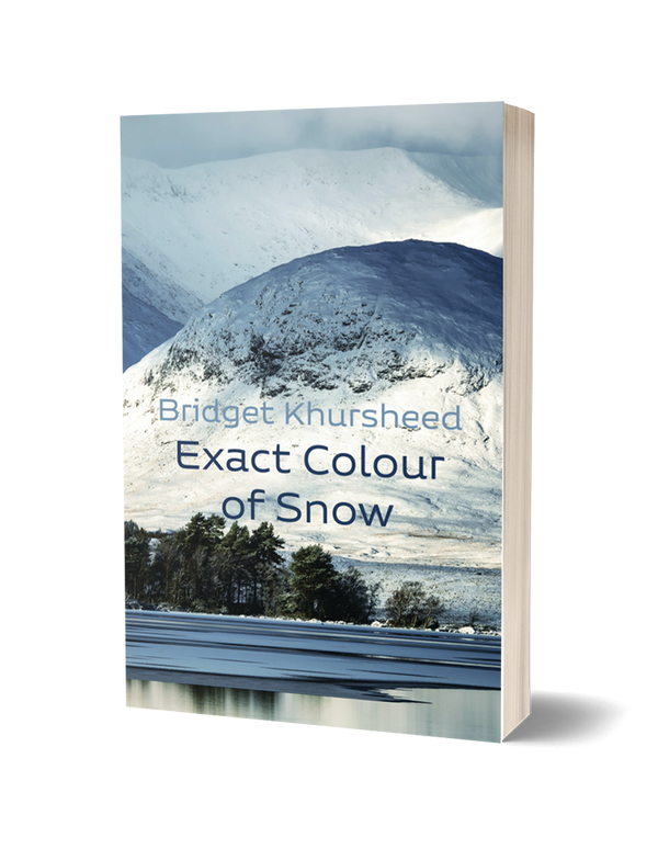 Exact Colour of Snow by Bridget Khursheed PRE-ORDER