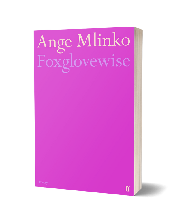 Foxglovewise by Ange Mlinko