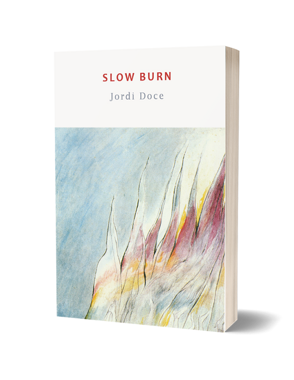 Slow Burn by Jordi Doce, translated by Paul O'Prey