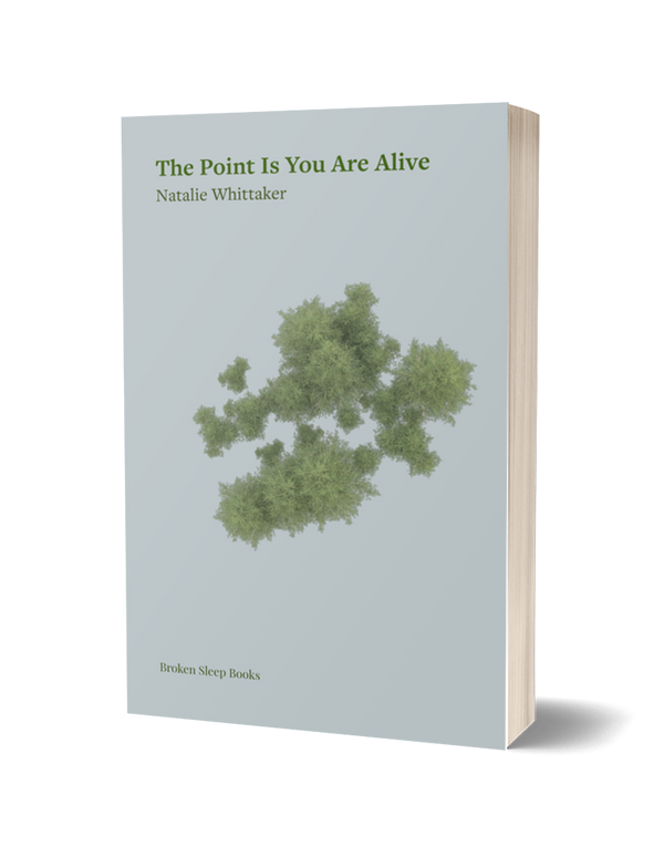 The Point Is You are Alive by Natalie Whittaker PRE-ORDER